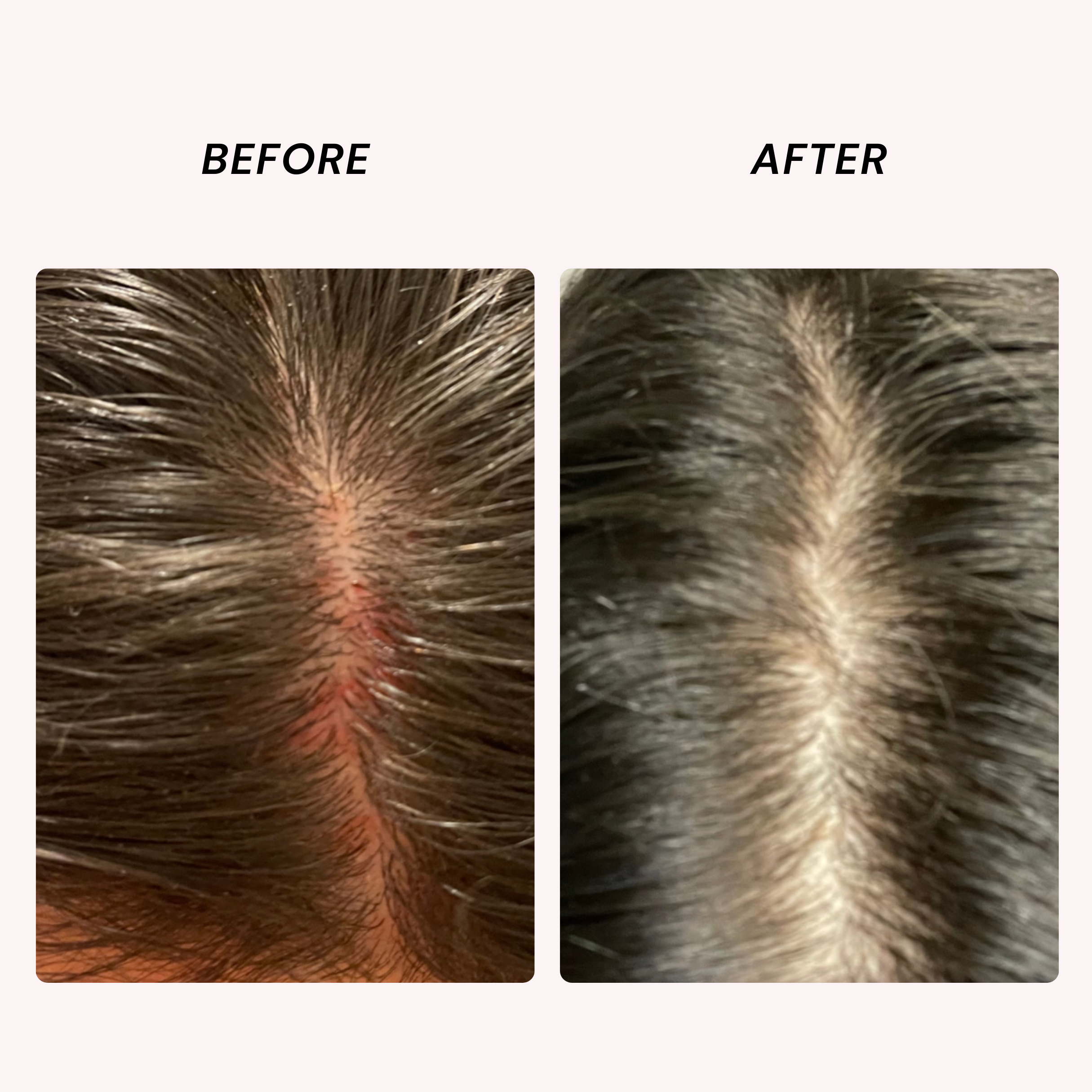 Honey Silk Shampoo